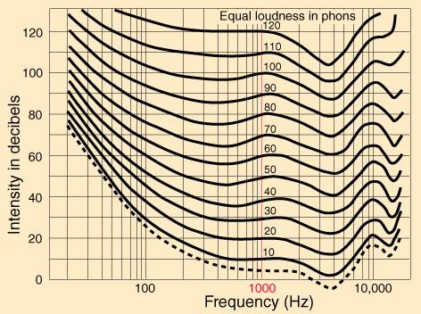 About the Loudness